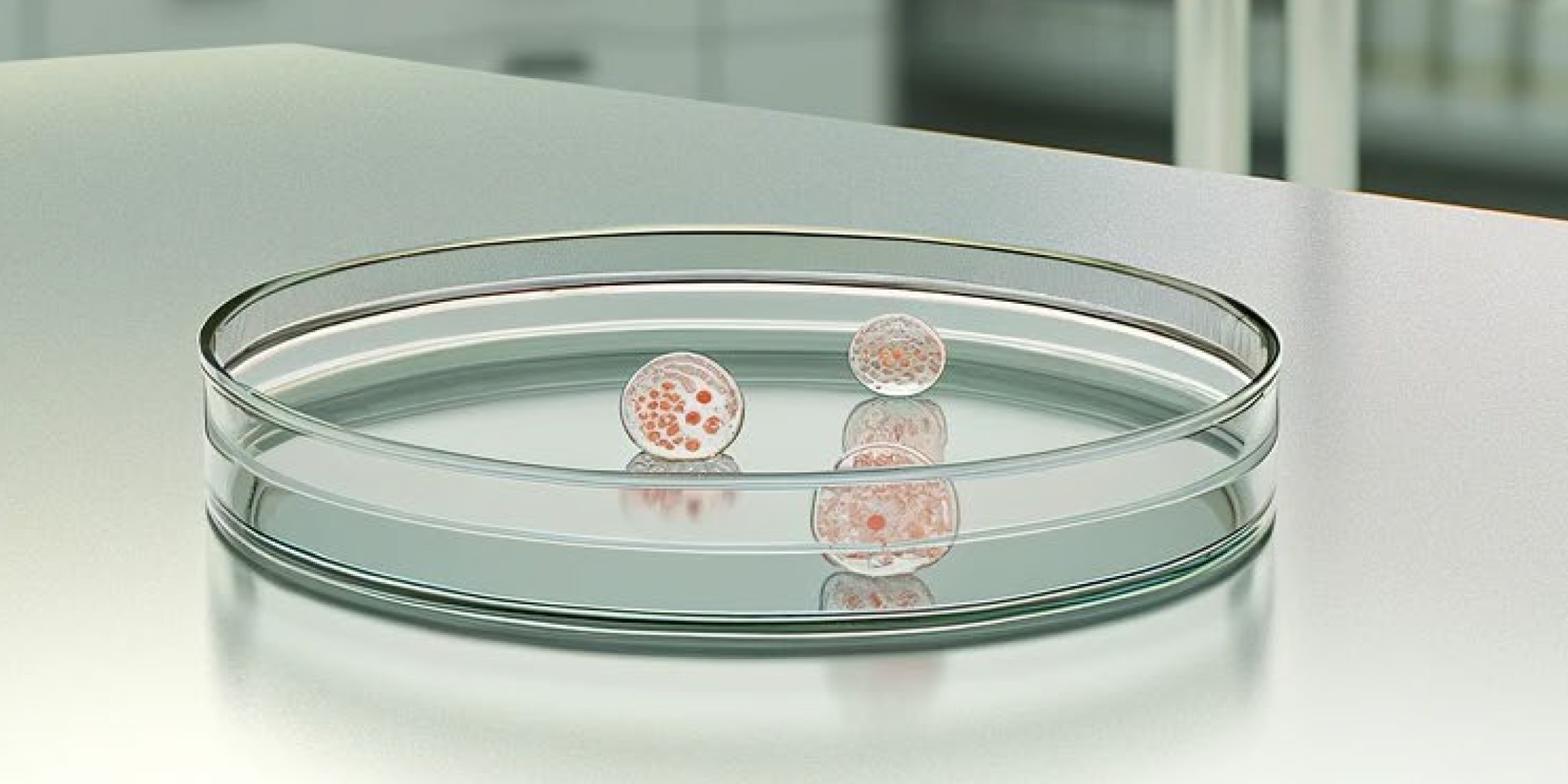 Decoding In Vitro Oncology Innovations: Organoids, OMICs, and Their Role in Early Cancer Drug Discovery