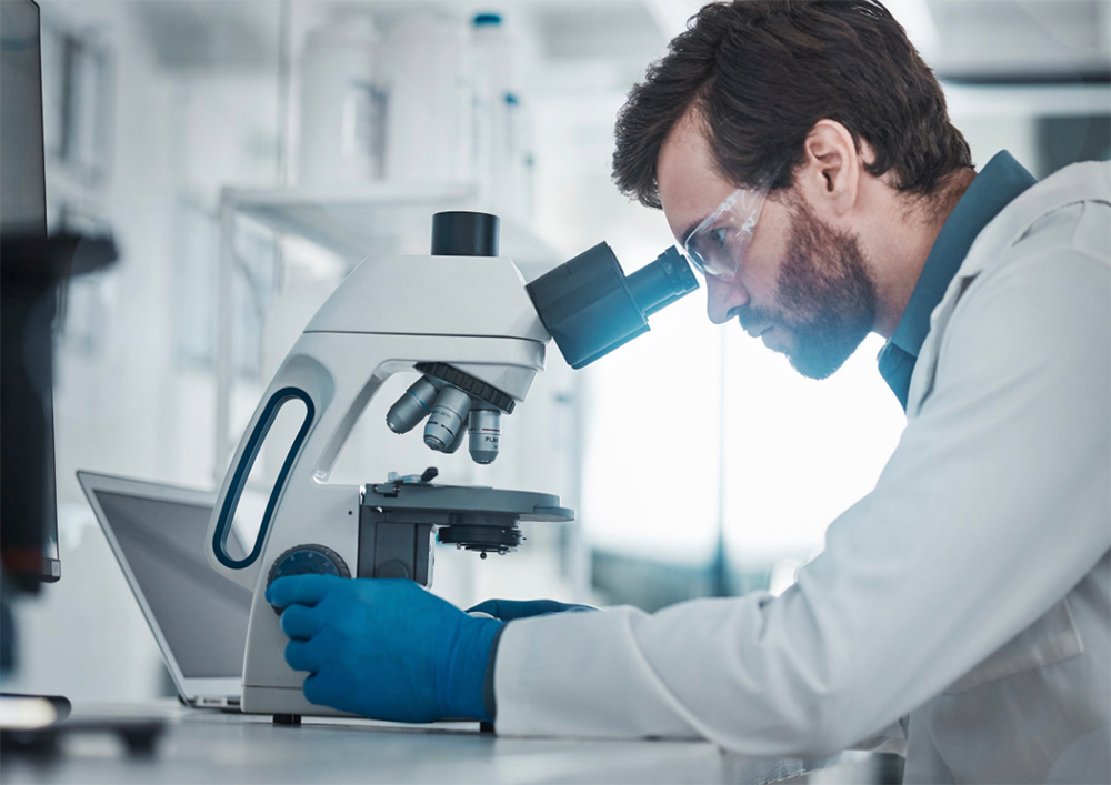 Digital Pathology and Spatial Biology Services