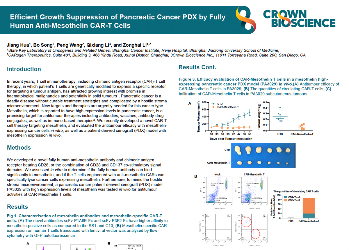 Using PDX for In Vivo CAR-T Cell Therapy Assessment