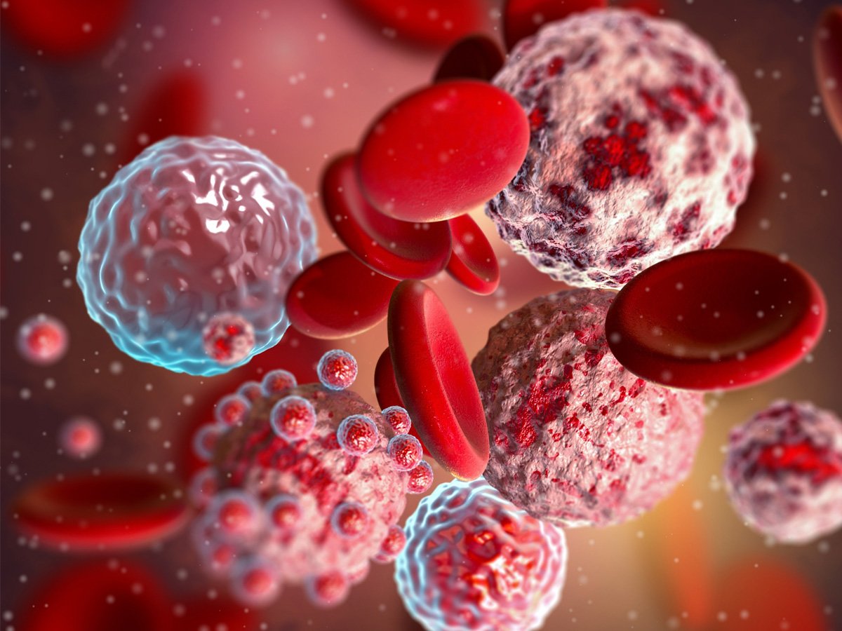 Advancing Targeted Therapies: 3D Bone Marrow Niche and PDX Models for AML and Multiple Myeloma Research