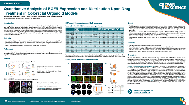 ENA 2022 Poster 324: Quantitative Analysis of EGFR Expression and Distribution Upon Drug Treatment in Colorectal Organoid Models