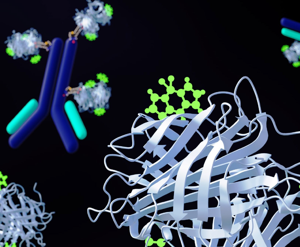 Fit-For-Purpose Biomarker Assay Development and Validation on FFPE Tissue Samples by Simple Western™ Size