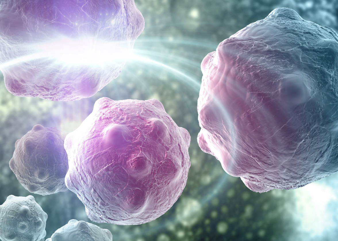 High-frequency Ultrasound Guided Injection and Monitoring of Orthotopic Murine Models