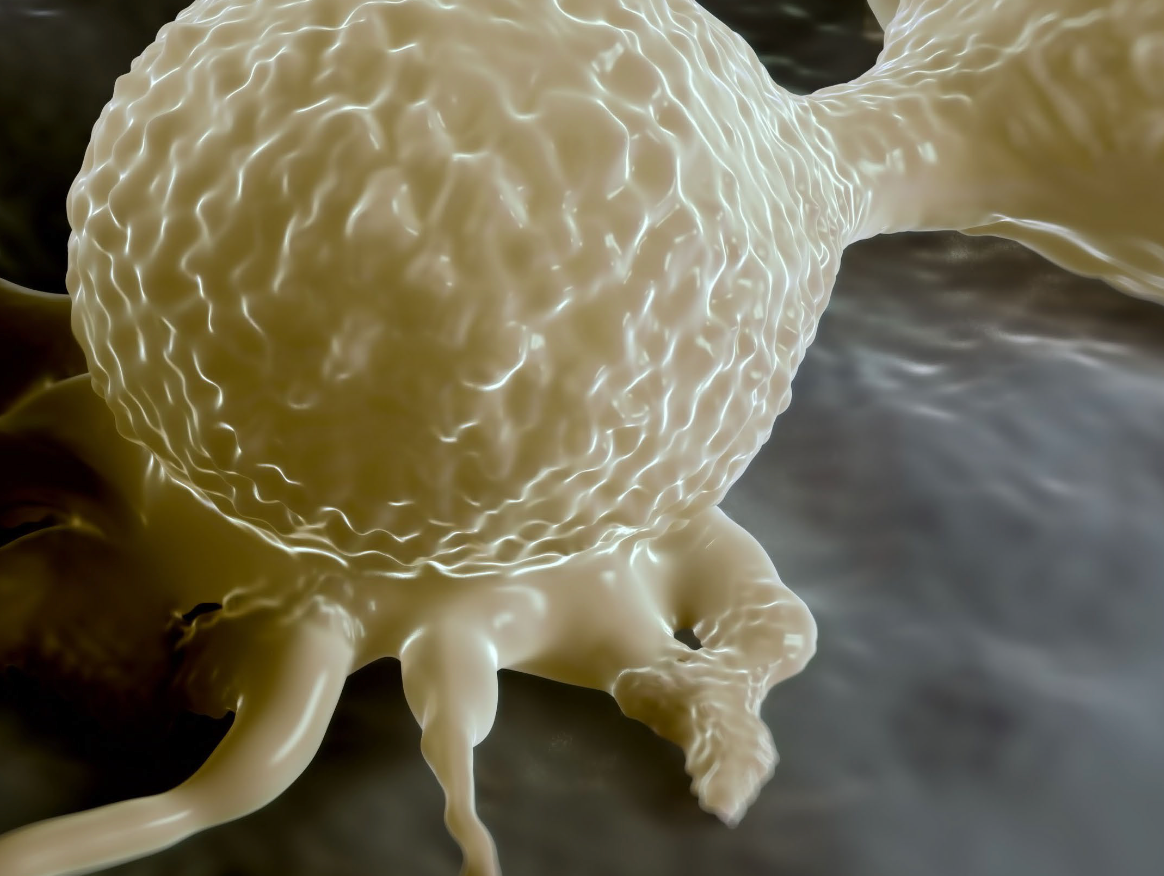 High Quality Tissue Essential in Developing Predictive Biomarker Assays