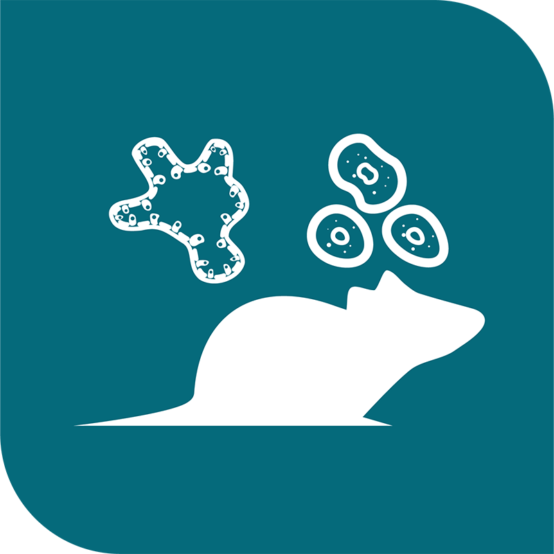 icon-comprehensive-cancer-model