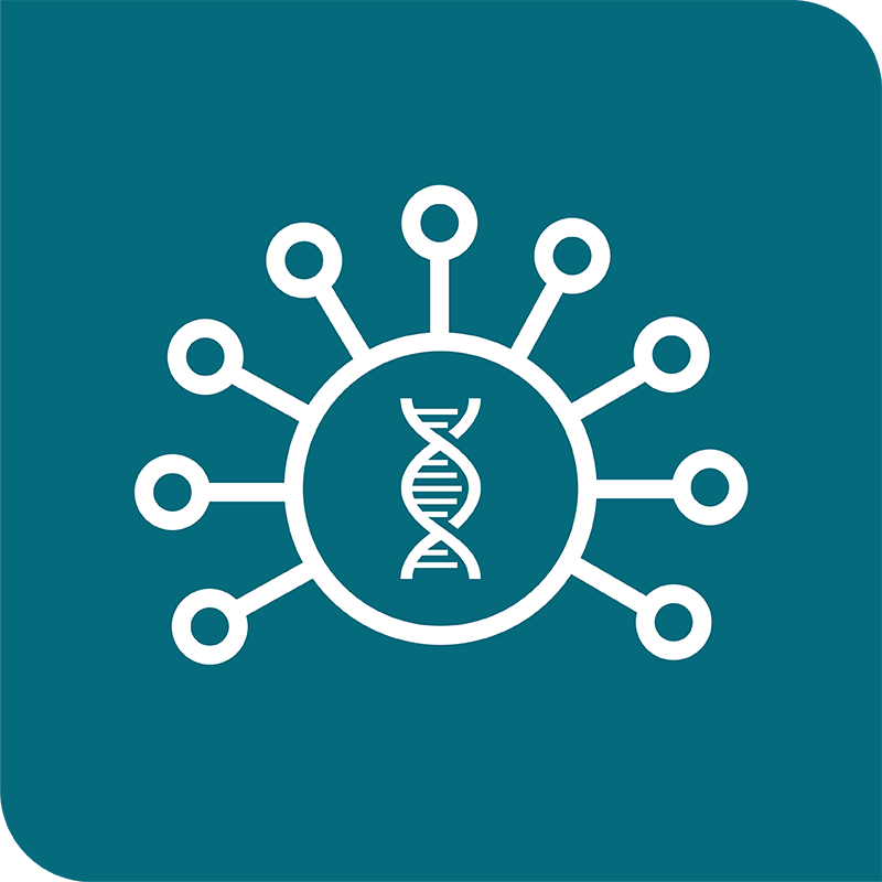 icon-comprehensive-capabilities