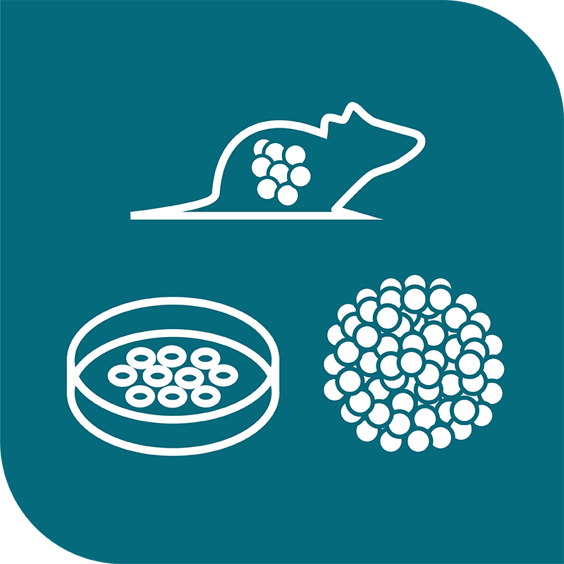 icon-extensive-tumor-model-collection