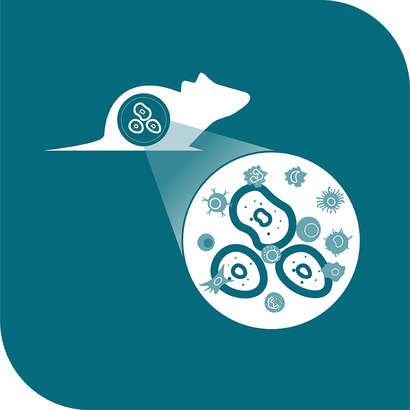 icon-mouse-io-rna-seq-panel