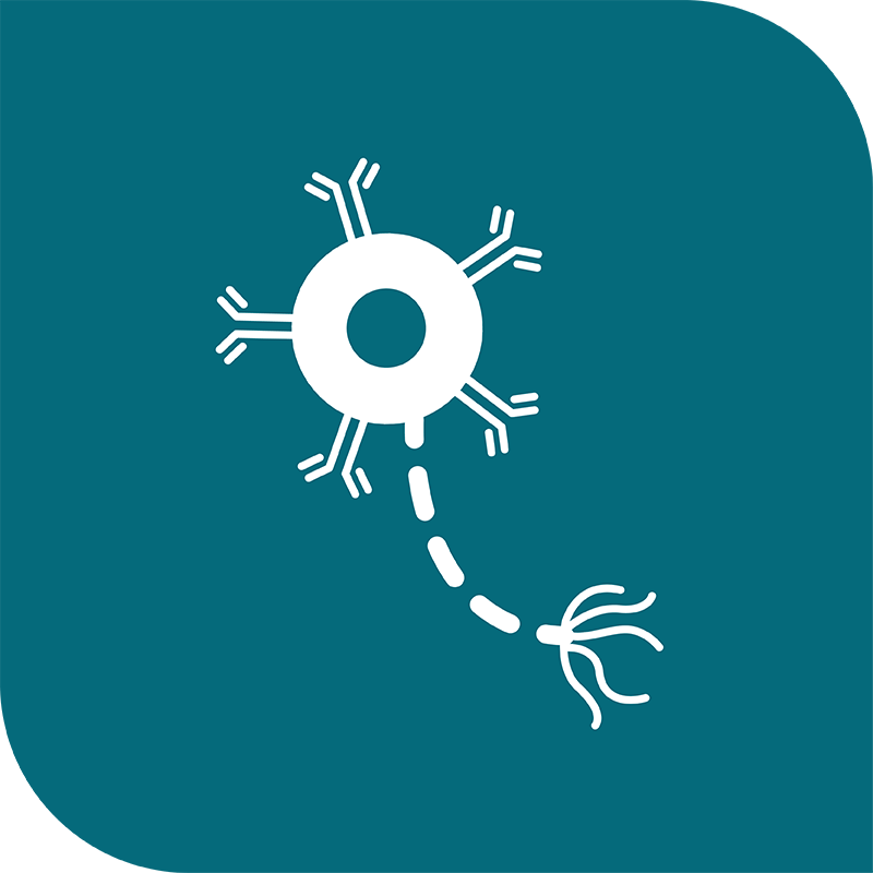 icon-neuroblastoma