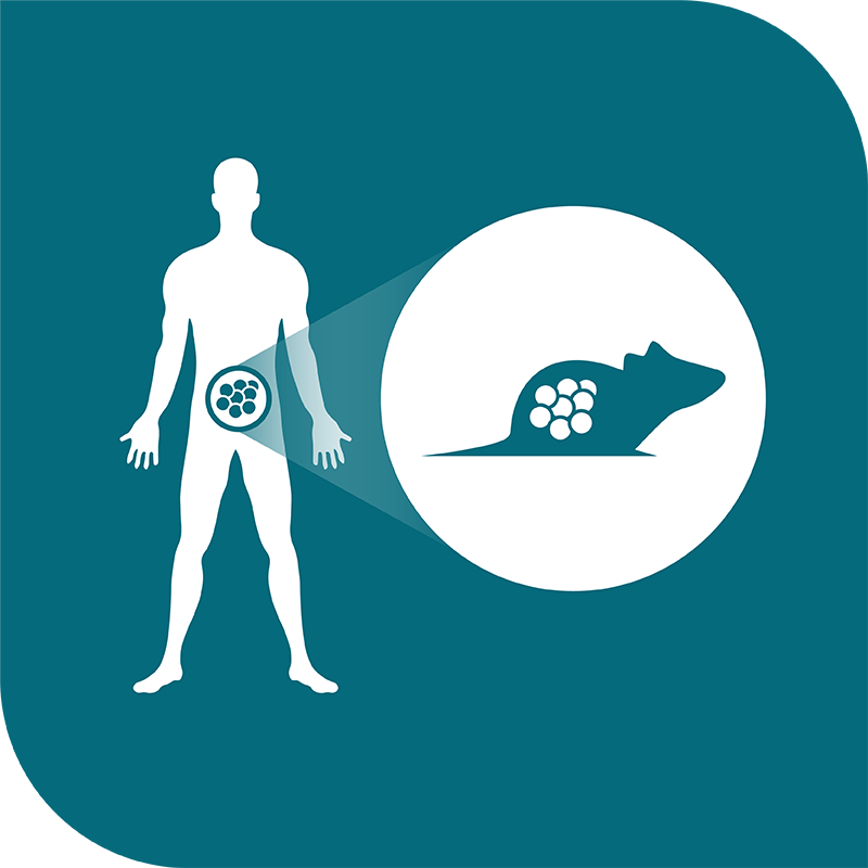 icon-pdx-model-database