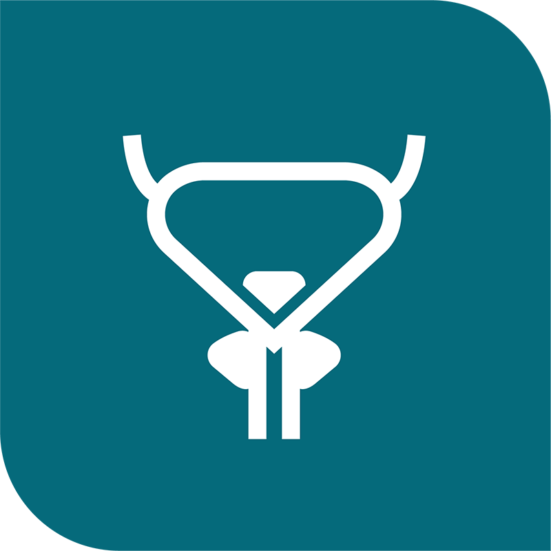 icon-prostate