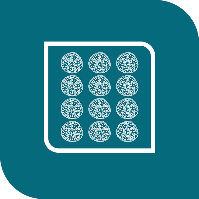 icon-tumor-tissue-microarray