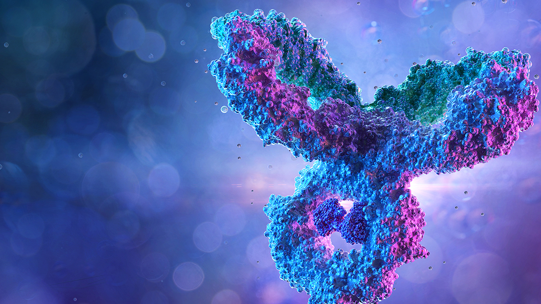 Integrated Preclinical Solutions to Guide Clinical Development of Bispecific Antibodies