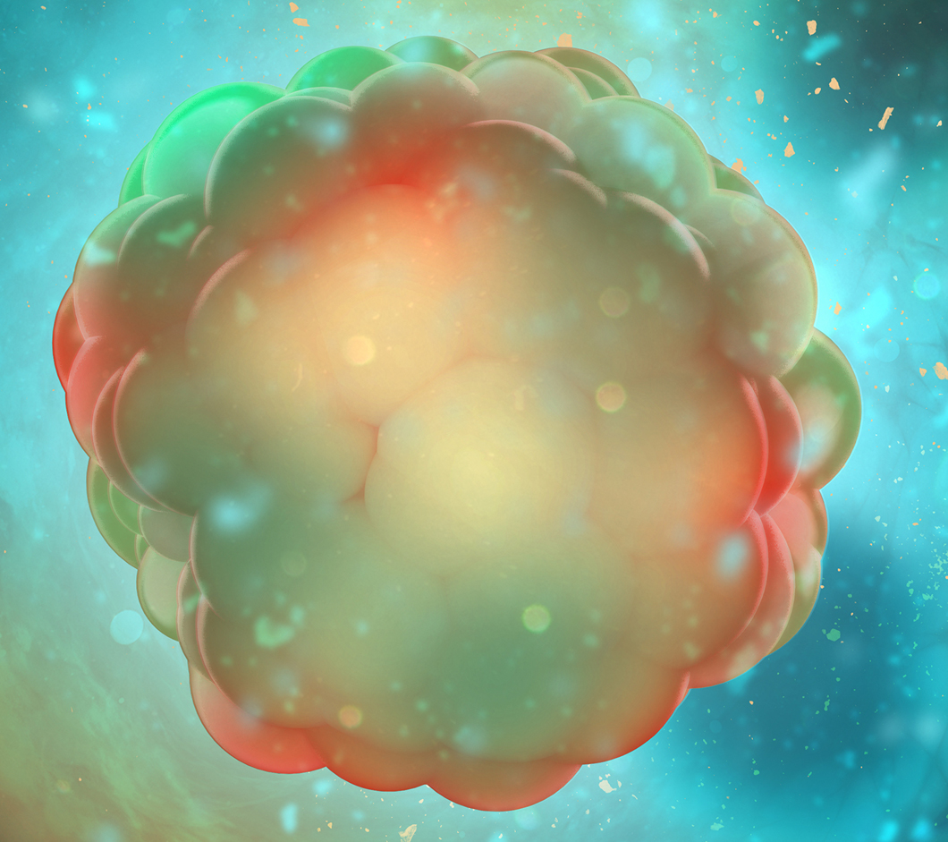 Accelerate IO Drug Development with a Fast, Cost-effective, and Powerful Screening Tool