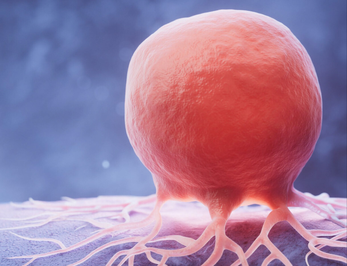 Breaking the Barrier of KRASG12C Inhibitor Resistance: Developing KRASG12C Inhibitor-Resistant Tumor Models