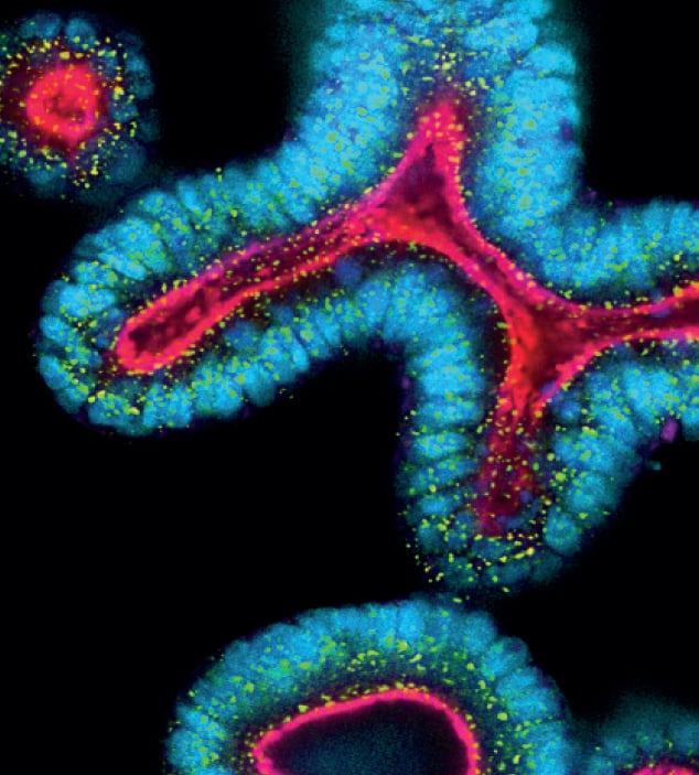 Lead Identification Screening Services in 3D