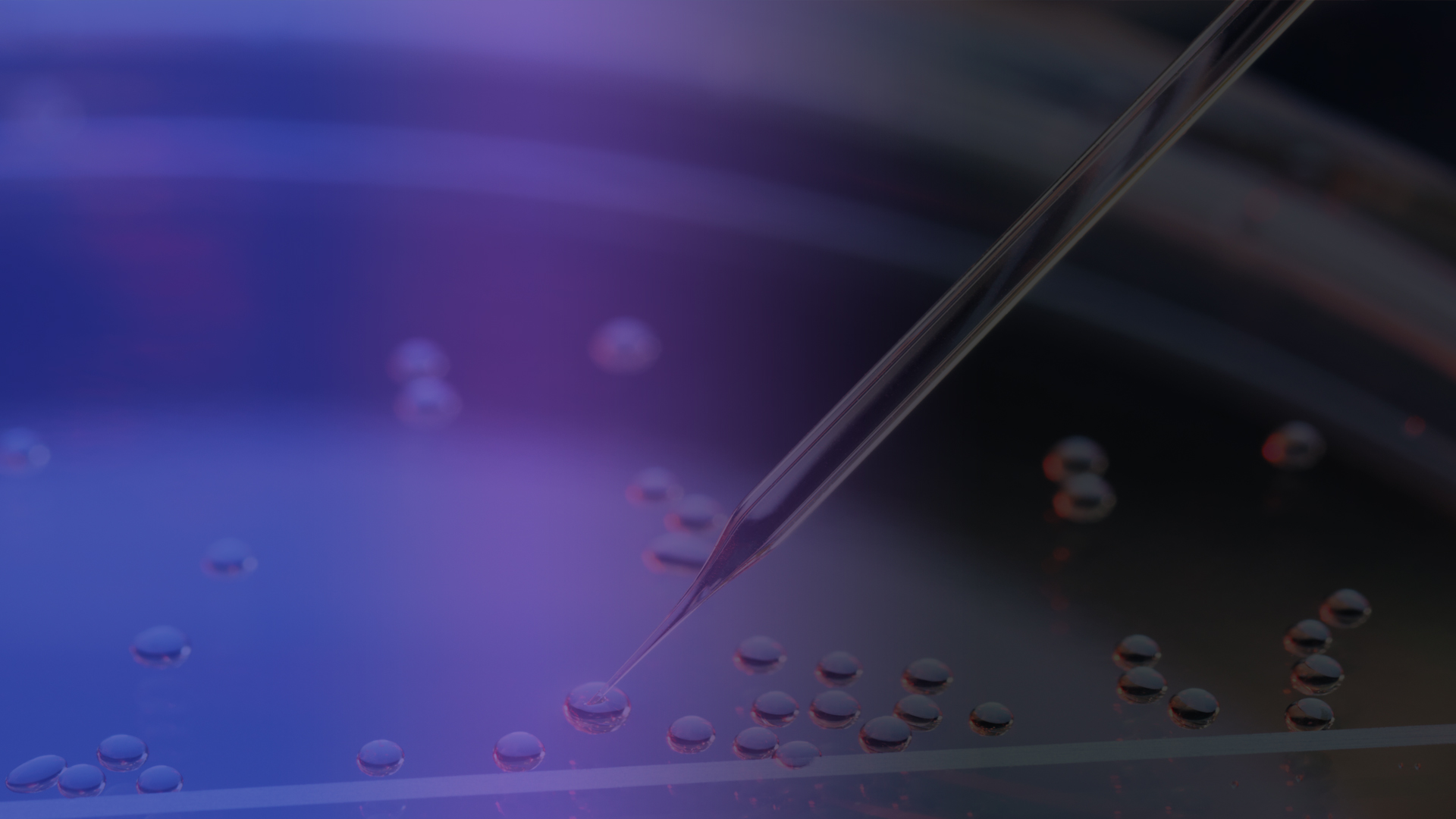 From Models to Patients: Harnessing Pretreated PDX Models for Precision Medicine