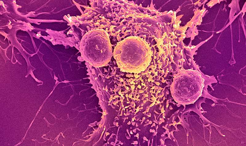 Biomarker Discovery for Immune Checkpoint Inhibitors