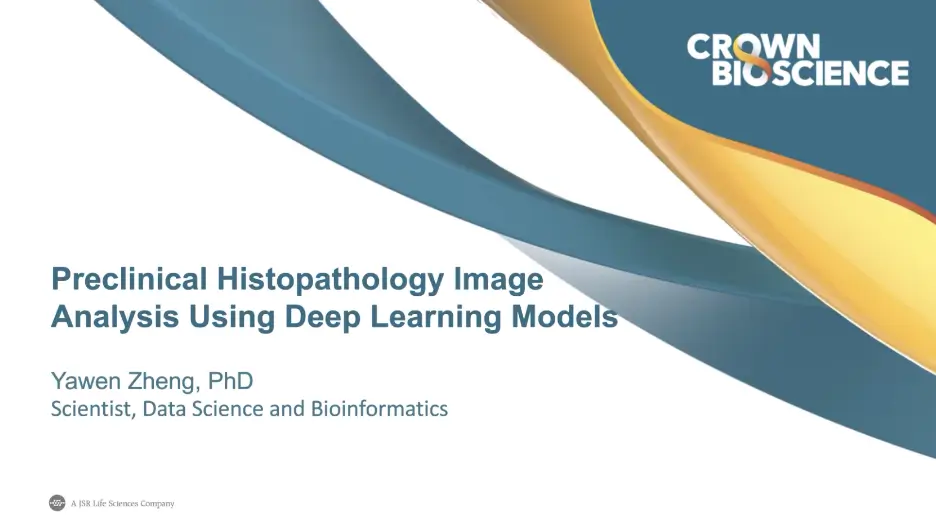Deep Learning Models in Preclinical Histopathology Image Analysis