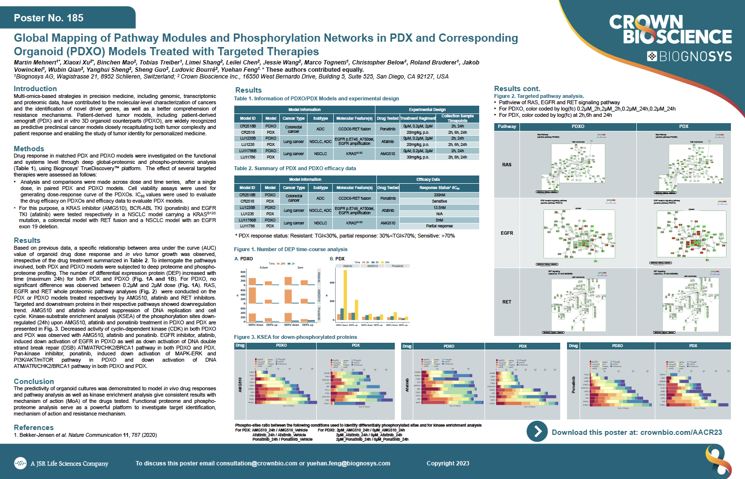 AACR 2023 Posters 185: Global Mapping of Pathway Modules and Phosphorylation Networks in PDX and Corresponding Organoid (PDXO) Models Treated with Targeted Therapies