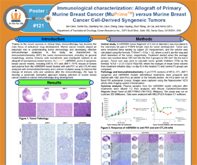 Immunological Characterization: Allograft of Primary Murine Breast Cancer