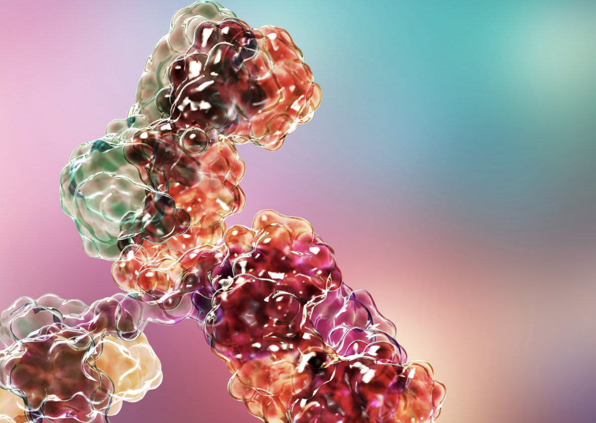 Harnessing Integrated Preclinical Solutions to Accelerate Bispecific Antibody Development