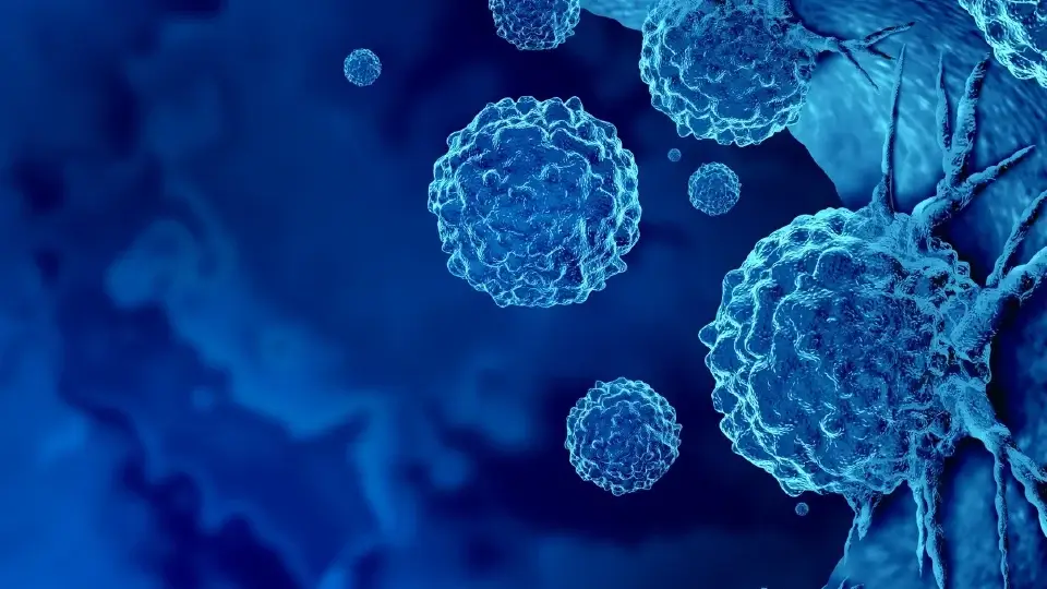 RNA Degradation and Its Influence on Transcriptomic Profiling: A Case Study with Preclinical Samples