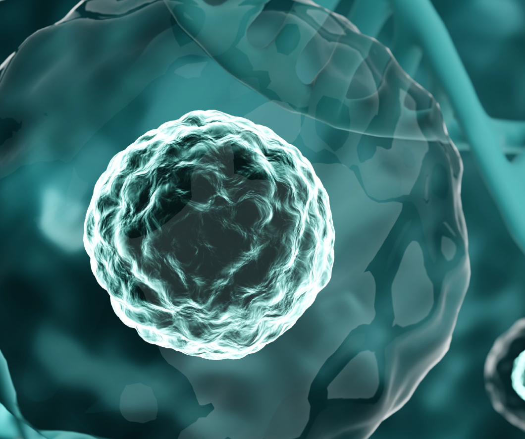 Simple Western Size™, qPCR