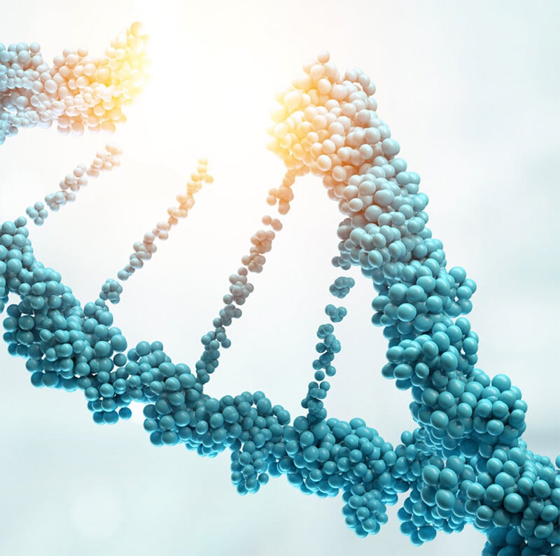 Single Cell Gene Expression Analysis Service