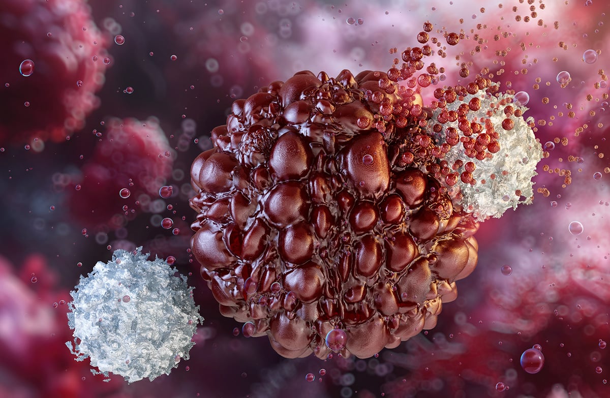 Tackling Cancer Drug Resistance with CDX Models