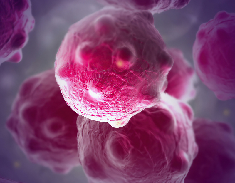 In Vivo Solutions for Oncology Drug Development