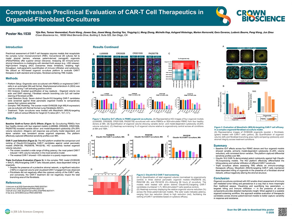 AACR 2026 Poster 1530: Comprehensive Preclinical Evaluation of CAR-T Cell Therapeutics in Organoid-Fibroblast Co-cultures