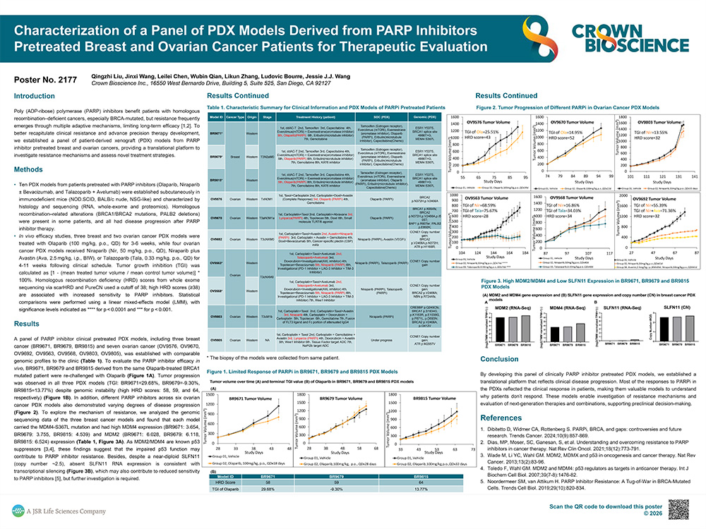 AACR 2026 Poster 2177: Characterization of a Panel of PDX Models Derived from PARP Inhibitors Pretreated Breast and Ovarian Cancer...