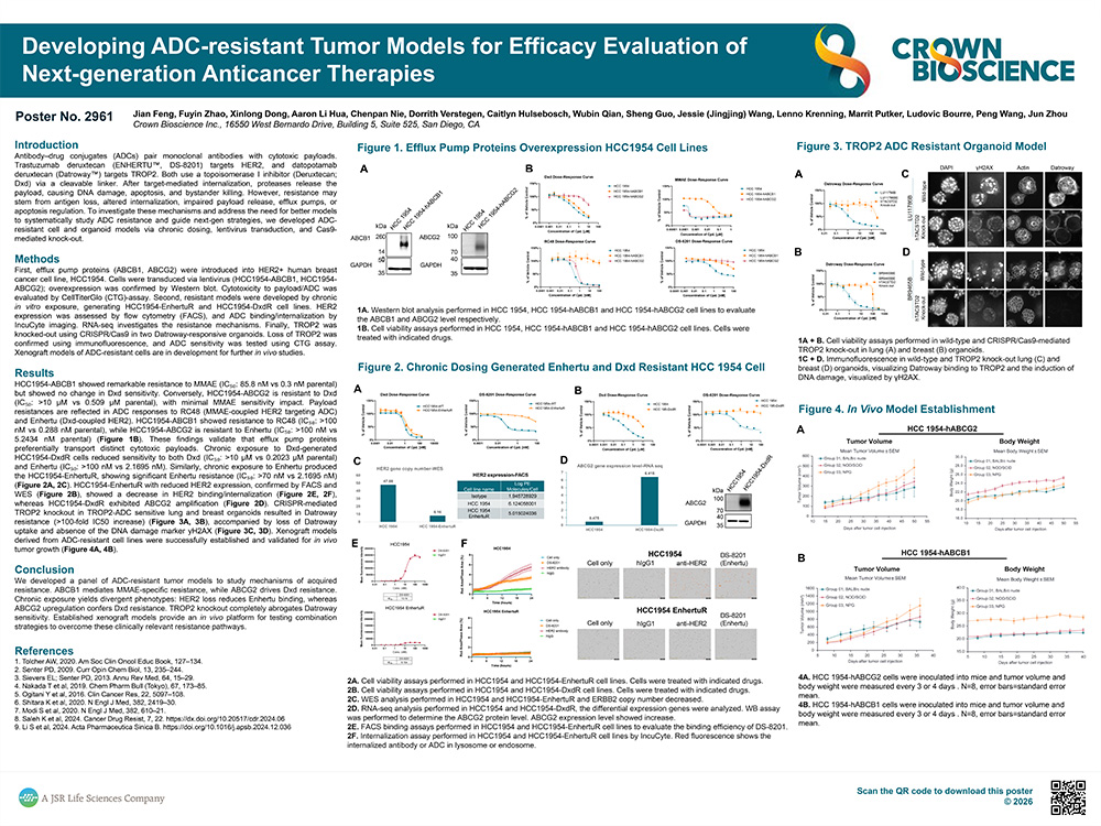 AACR 2026 Poster 2961: Developing Trastuzumab Deruxtecan-resistant Tumor Models for Efficacy Evaluation of Next...