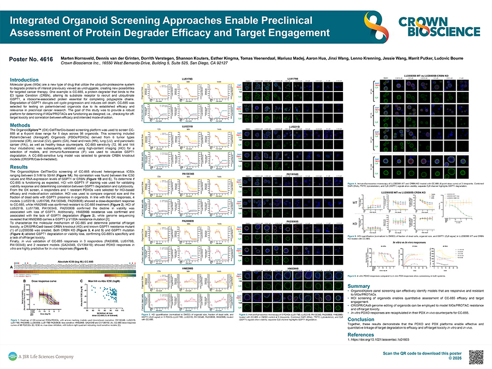 AACR 2026 Poster 4616: Integrated Organoid Screening Approaches Enable Preclinical Assessment of Protein...
