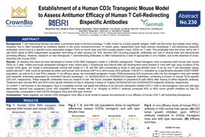 CIMT18 Abstract 230: Improved CD3E Transgenic Mouse Model for I/O Agent Testing