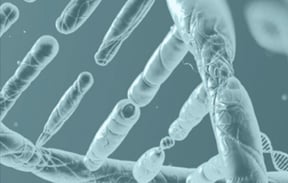 In Vitro and Ex Vivo Immuno-Oncology Drug Discovery