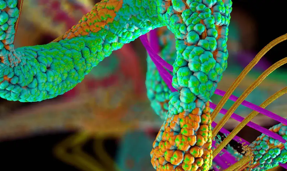 Next Generation Ion Mobility Mass Spectrometry-based Proteomics Services