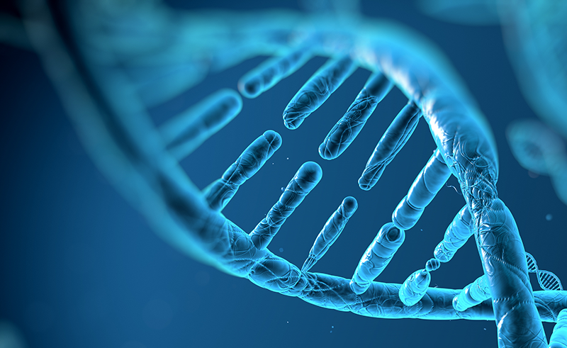 Genomics and High-Throughput Sequencing Capabilities