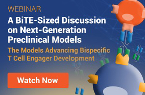 A BiTE-Sized Discussion on Next-Generation Preclinical Models