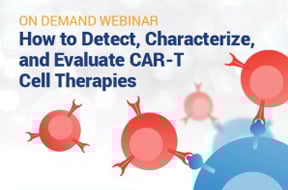 How to Detect, Characterize, and Evaluate CAR-T Cell Therapies