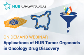 Applications of HUB Tumor Organoids in Oncology Drug Discovery