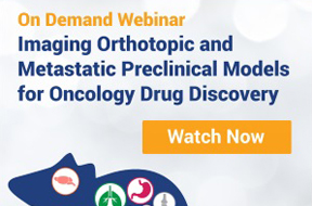 Imaging Orthotopic and Metastatic Preclinical Models for Oncology Drug Discovery