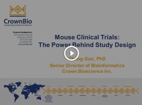 Mouse Clinical Trials: The Power Behind Study Design