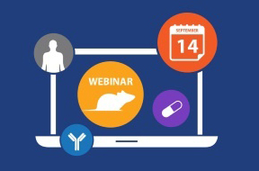 The Ultimate Guide to Mouse Clinical Trials