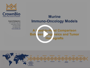Murine Immuno-Oncology Models: A Head-to-Head Comparison Between Syngeneics and Tumor Homografts