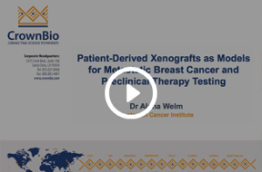 Patient-Derived Xenografts as Models for Metastatic Breast Cancer and Preclinical Therapy Testing