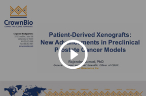 Patient-Derived Xenografts: New Advancements in Preclinical Prostate Cancer Models