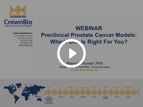 Preclinical Prostate Cancer Models: Which One is Right For You?