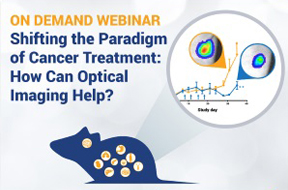 Shifting the Paradigm of Cancer Treatment: How Can Optical Imaging Help?